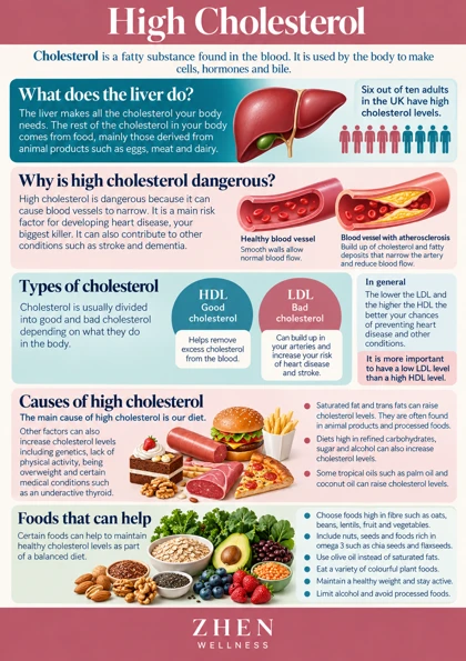 Original illustrated Zhen Wellness picture sheet about High cholesterol: understanding your results