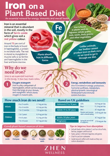 Original illustrated Zhen Wellness picture sheet about Iron on a plant-based diet: food and assessment
