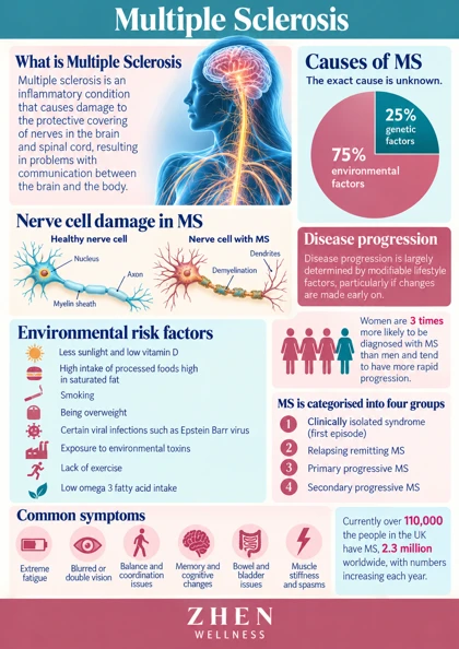 Original illustrated Zhen Wellness picture sheet about Living with MS: wellbeing alongside specialist care