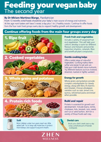 Original illustrated Zhen Wellness picture sheet about Vegan toddler feeding: the second year
